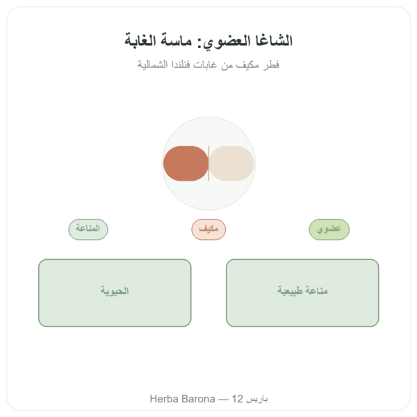 تشاغا عضوي – SIHO – 60 كبسولة عرض المنتج Paris Herba Barona