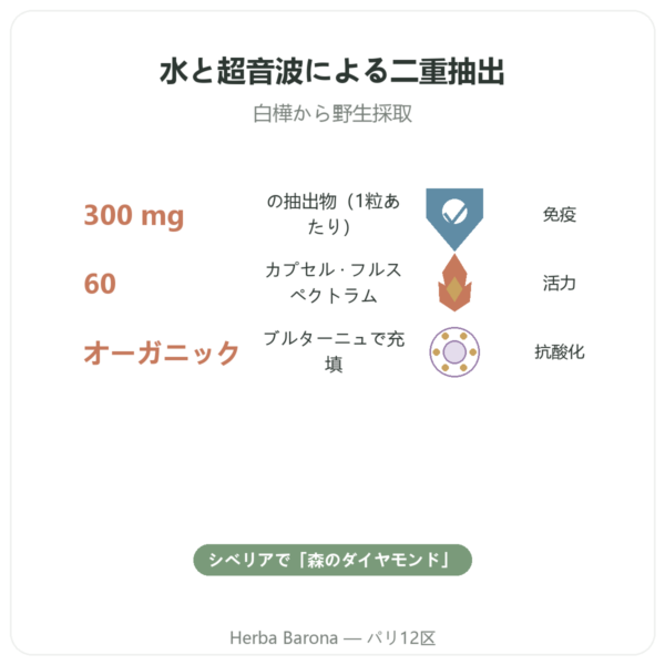 チャーガ ビオ – SIHO 60カプセル benefits and key facts Paris Herba Barona