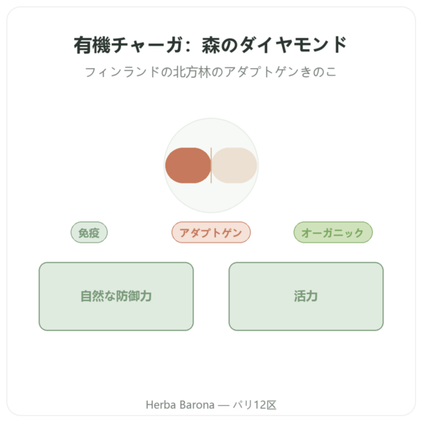チャーガ ビオ – SIHO 60カプセル presentation Paris Herba Barona