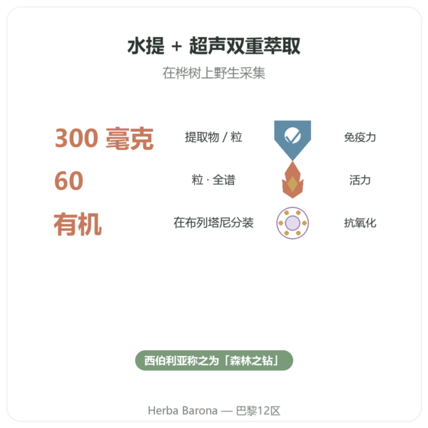 有机白桦茸(Chaga)– SIHO 60粒胶囊 功效与数据 Paris Herba Barona