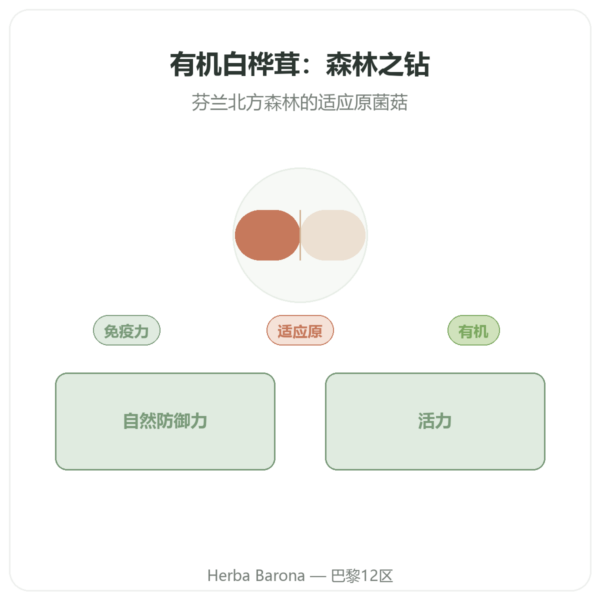 有机白桦茸(Chaga)– SIHO 60粒胶囊 产品展示 Paris Herba Barona