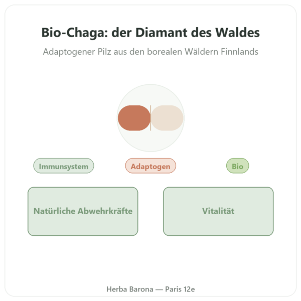 Chaga Bio – SIHO – 60 Kapseln Vorstellung Paris Herba Barona