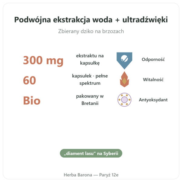 Chaga Bio – SIHO 60 kapsułek korzyści i najważniejsze fakty Paris Herba Barona