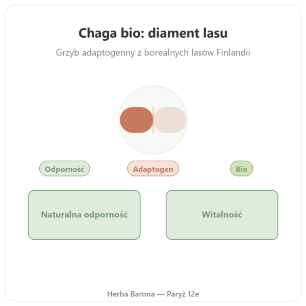 Chaga Bio – SIHO 60 kapsułek prezentacja Paris Herba Barona