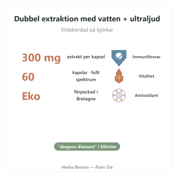 Chaga EKO – SIHO 60 kapslar fördelar och nyckelfakta Paris Herba Barona