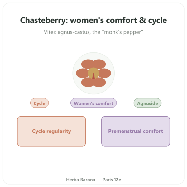 Chasteberry (Vitex) Extract 250mg - 0.6% Agnuside - 60 capsules presentation Paris Herba Barona