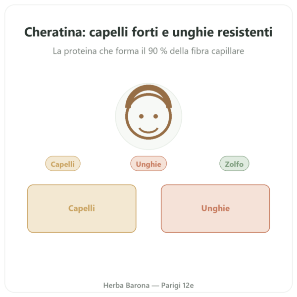 Cheratina Dynveo – 60 capsule presentazione Paris Herba Barona