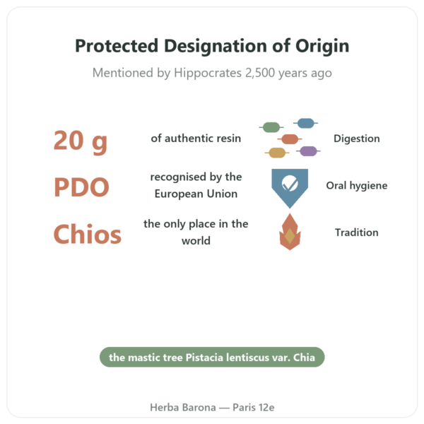 Chios Mastic - 20g benefits and key facts Paris Herba Barona