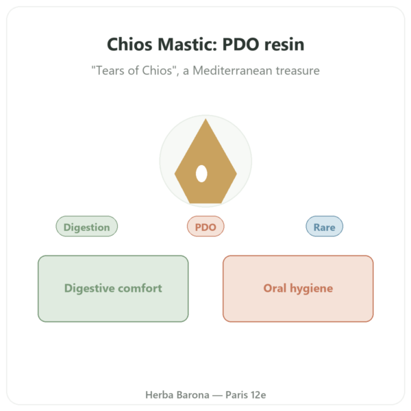 Chios Mastic - 20g presentation Paris Herba Barona