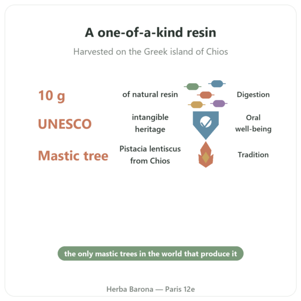 Chios Mastiha 10g benefits and key facts Paris Herba Barona