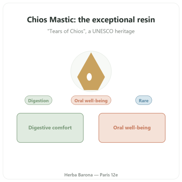 Chios Mastiha 10g presentation Paris Herba Barona