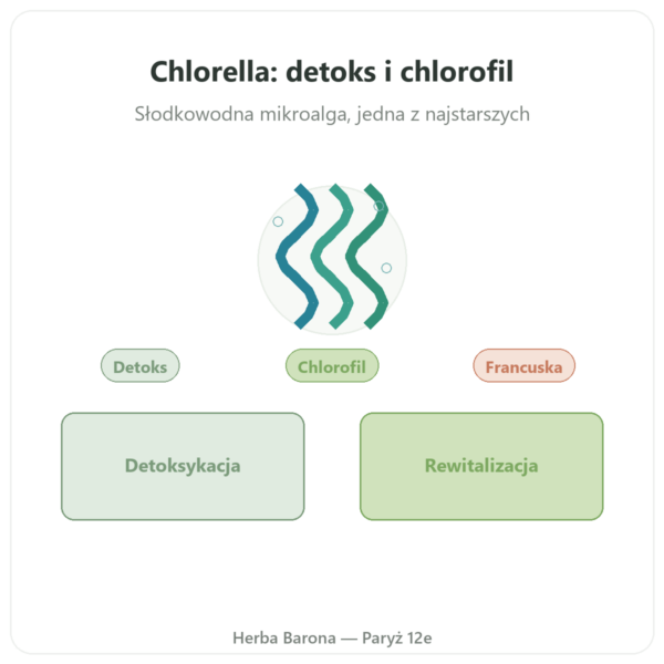 Chlorella – Flamant Vert – 180 tabletek prezentacja Paris Herba Barona