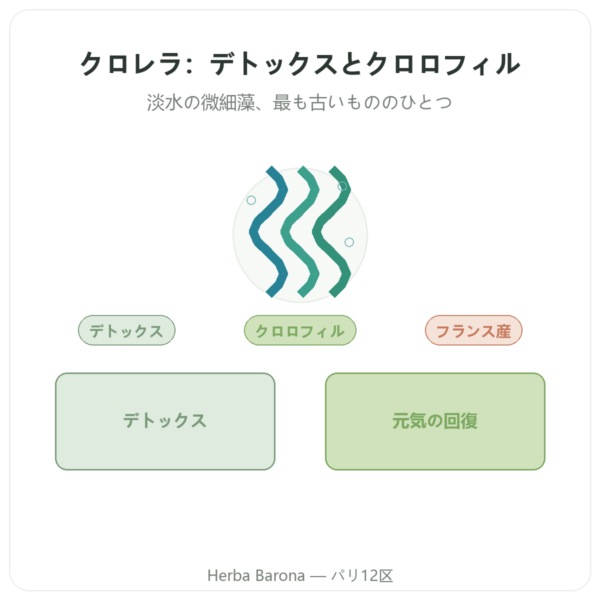 クロレラ – Flamant Vert – 180粒 presentation Paris Herba Barona