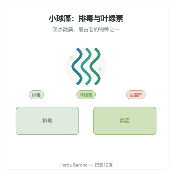 小球藻 – Flamant vert – 180 片 产品展示 Paris Herba Barona