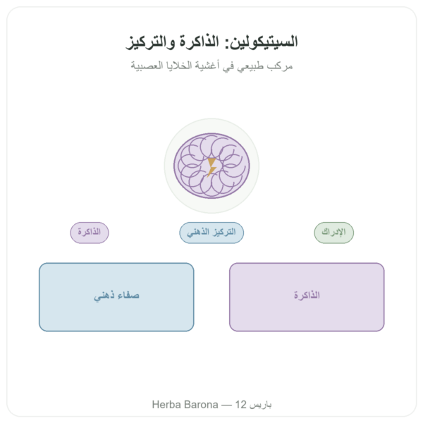 سيتيكولين Cognizin®: CDP كولين – Dynveo – 60 كبسولة عرض المنتج Paris Herba Barona
