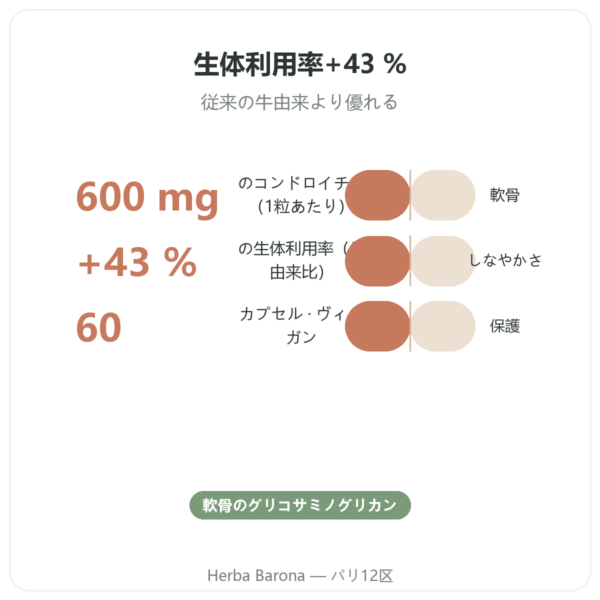 コンドロイチン硫酸 600 mg – 60カプセル – Dynveo benefits and key facts Paris Herba Barona