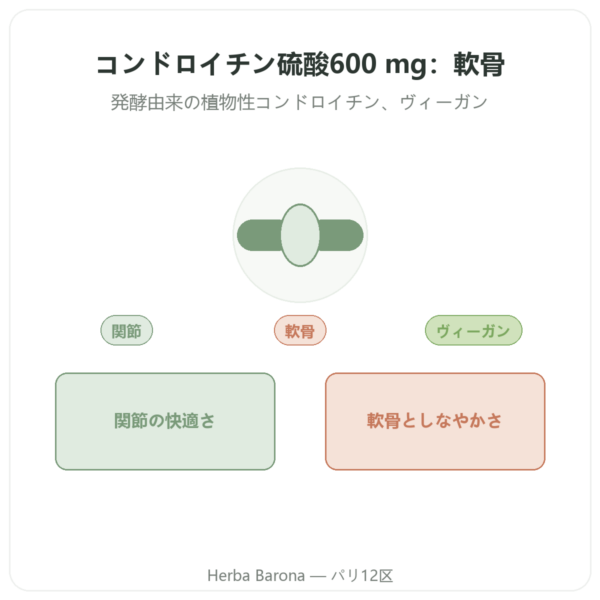 コンドロイチン硫酸 600 mg – 60カプセル – Dynveo presentation Paris Herba Barona