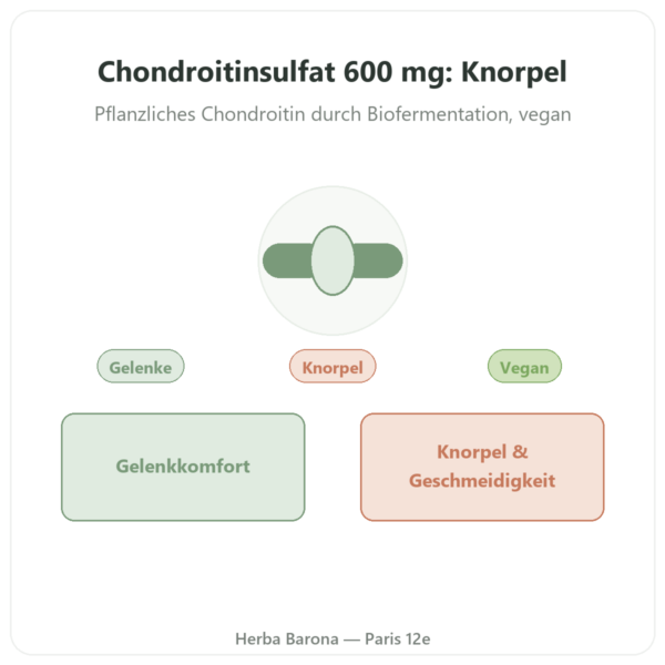 Chondroitinsulfat vegan – Dynveo – 600 mg – 60 Kapseln Vorstellung Paris Herba Barona