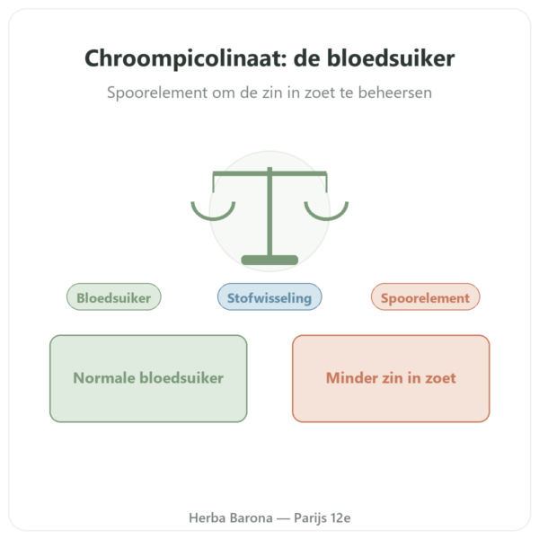 Chroompicolinaat 100µg – 60 capsules – Dynveo presentatie Paris Herba Barona