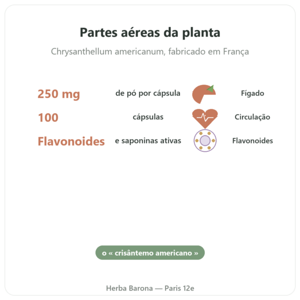 Chrysantellum – Neodiet 100 cápsulas benefícios e dados principais Paris Herba Barona
