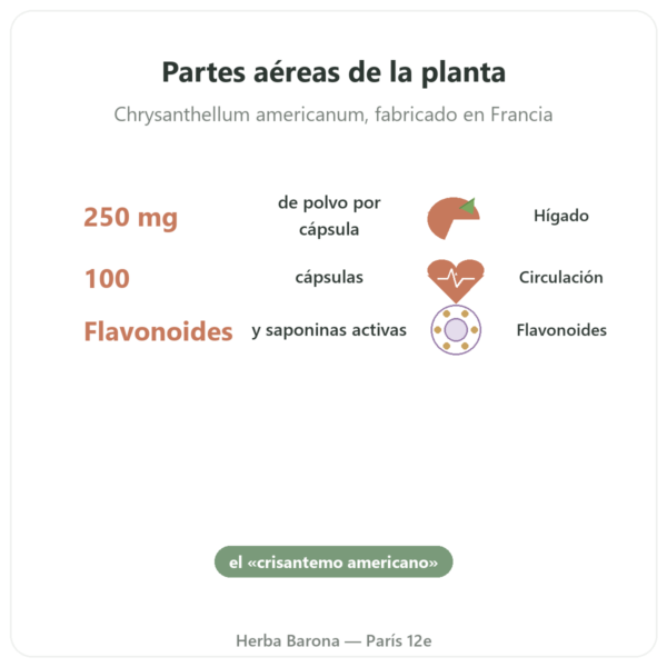 Chrysantellum – Neodiet – 100 Cápsulas beneficios y datos clave Paris Herba Barona