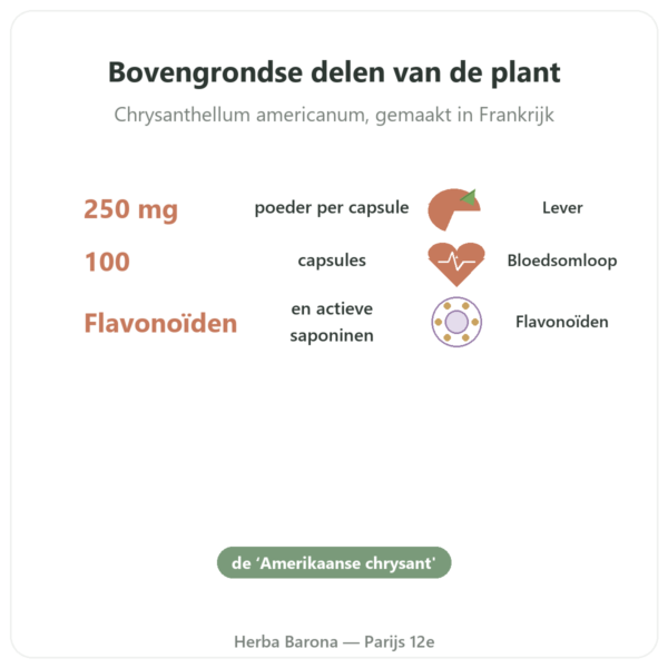 Chrysantellum - Neodiet - 100 capsules voordelen en kerngegevens Paris Herba Barona