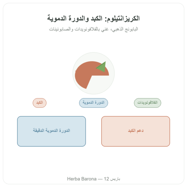كريزانتيلوم – Neodiet 100 كبسولة عرض المنتج Paris Herba Barona