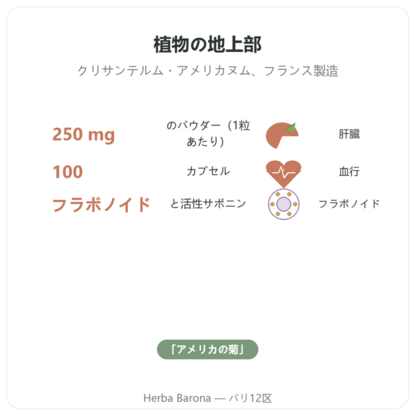 クリサンテルム – Neodiet 100カプセル benefits and key facts Paris Herba Barona