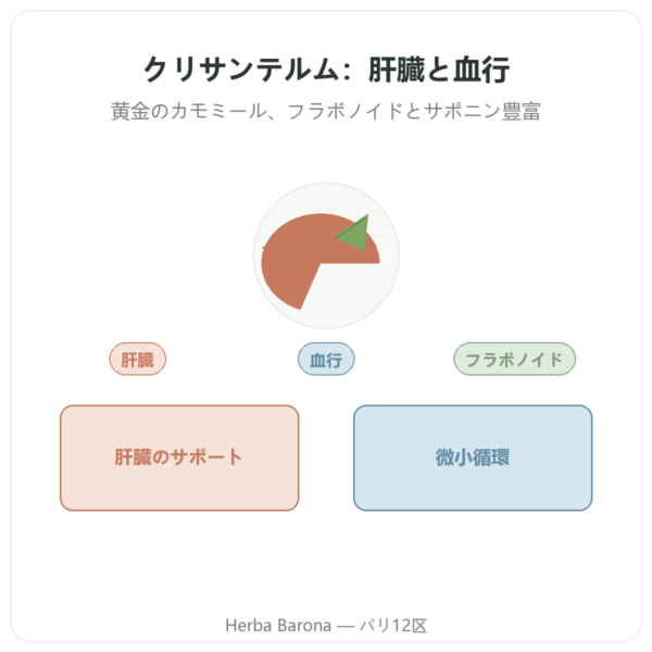クリサンテルム – Neodiet 100カプセル presentation Paris Herba Barona