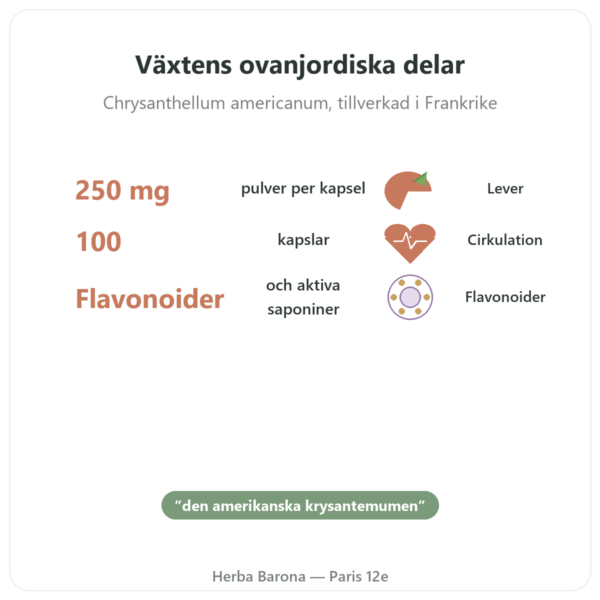 Chrysantellum – Neodiet 100 kapslar fördelar och nyckelfakta Paris Herba Barona