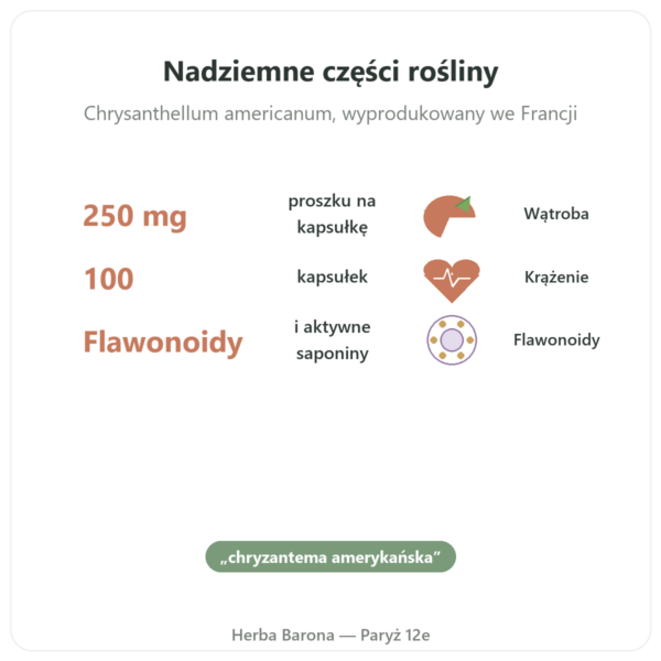 Chrysantellum – Neodiet 100 kapsułek korzyści i najważniejsze fakty Paris Herba Barona