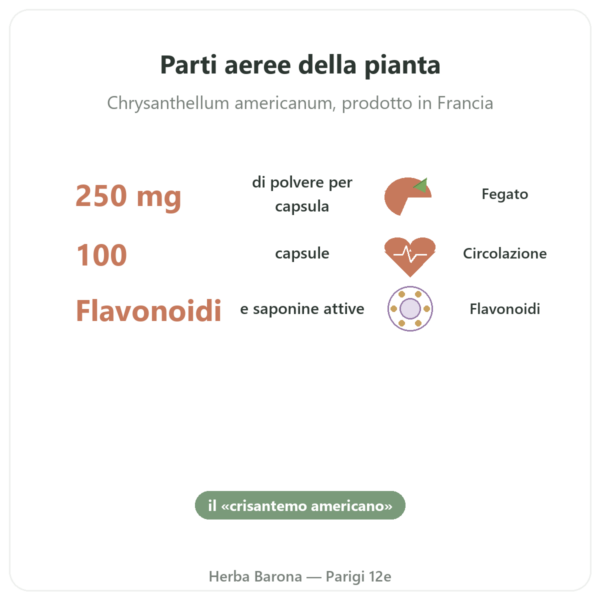 Chrysantellum – Neodiet 100 compresse benefici e dati chiave Paris Herba Barona