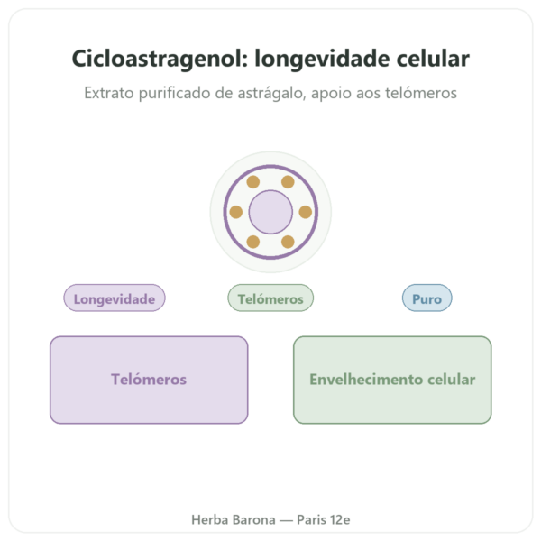 Cicloastragenol puro Dynveo – 60 cápsulas apresentação Paris Herba Barona