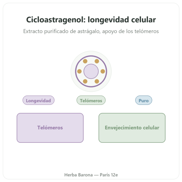 Cicloastragenol puro Dynveo – 60 cápsulas presentación Paris Herba Barona