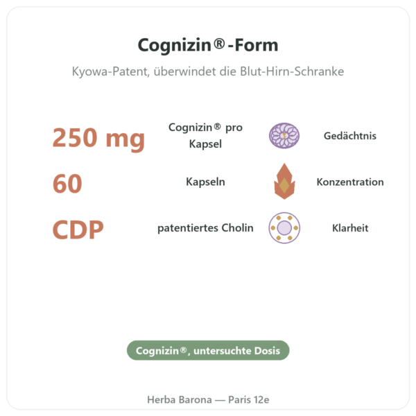 Citicolin Cognizin® CDP-Cholin – Dynveo – 500 mg – 60 Kapseln Vorteile und Fakten Paris Herba Barona