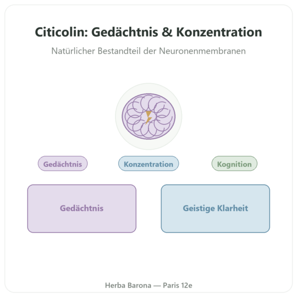 Citicolin Cognizin® CDP-Cholin – Dynveo – 500 mg – 60 Kapseln Vorstellung Paris Herba Barona