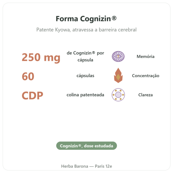Citicolina Cognizin® : CDP Colina – Dynveo – 60 cápsulas benefícios e dados principais Paris Herba Barona