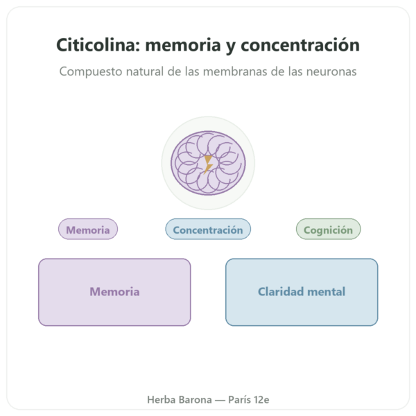 Citicolina Cognizin®: CDP Colina – Dynveo – 60 cápsulas presentación Paris Herba Barona