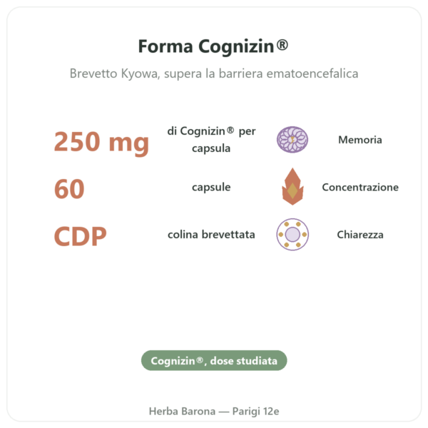 Citicolina Cognizin® : CDP Colina – Dynveo – 60 capsule benefici e dati chiave Paris Herba Barona
