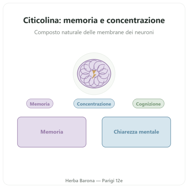 Citicolina Cognizin® : CDP Colina – Dynveo – 60 capsule presentazione Paris Herba Barona