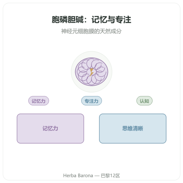 胞磷胆碱 Cognizin® :CDP 胆碱 – Dynveo – 60 粒胶囊 产品展示 Paris Herba Barona