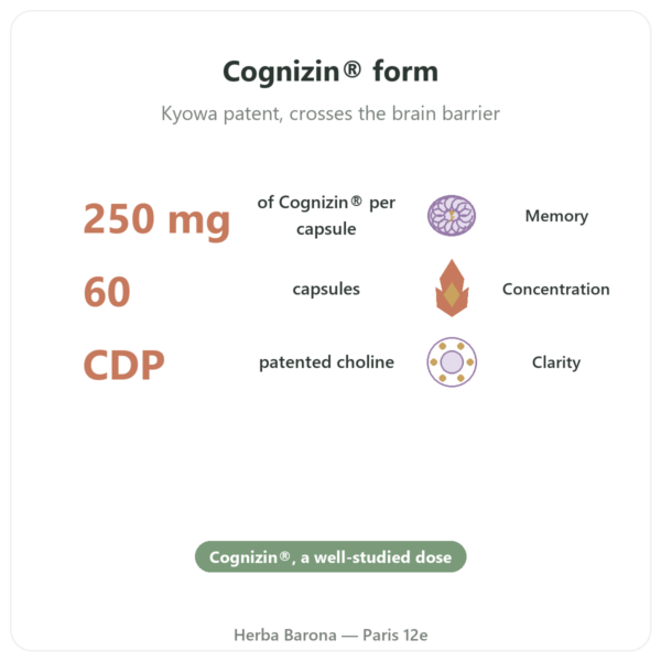 Citicoline Cognizin - CDP Choline - Dynveo - 60 capsules benefits and key facts Paris Herba Barona