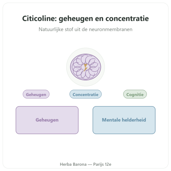 Citicoline Cognizin Dynveo 60 Capsules presentatie Paris Herba Barona