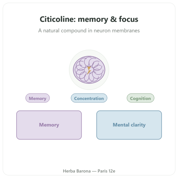 Citicoline Cognizin - CDP Choline - Dynveo - 60 capsules presentation Paris Herba Barona