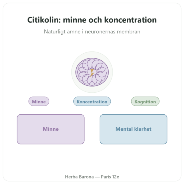 Citikolin Cognizin®: CDP-Kolin – Dynveo – 60 kapslar presentation Paris Herba Barona
