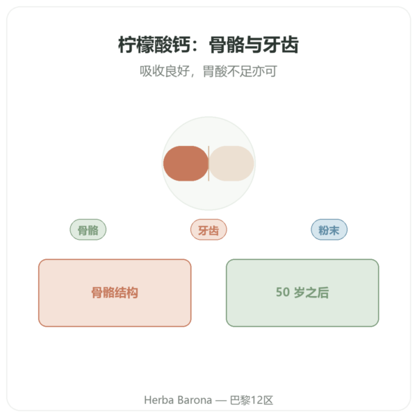 纯柠檬酸钙粉 – Now Foods – 227g 产品展示 Paris Herba Barona