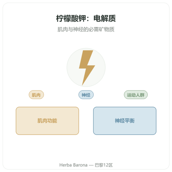 柠檬酸钾 – Dynveo – 60 粒胶囊 – 1000 mg 产品展示 Paris Herba Barona