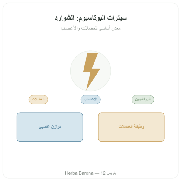 سيترات البوتاسيوم – Dynveo – 60 كبسولة – 1000 mg عرض المنتج Paris Herba Barona