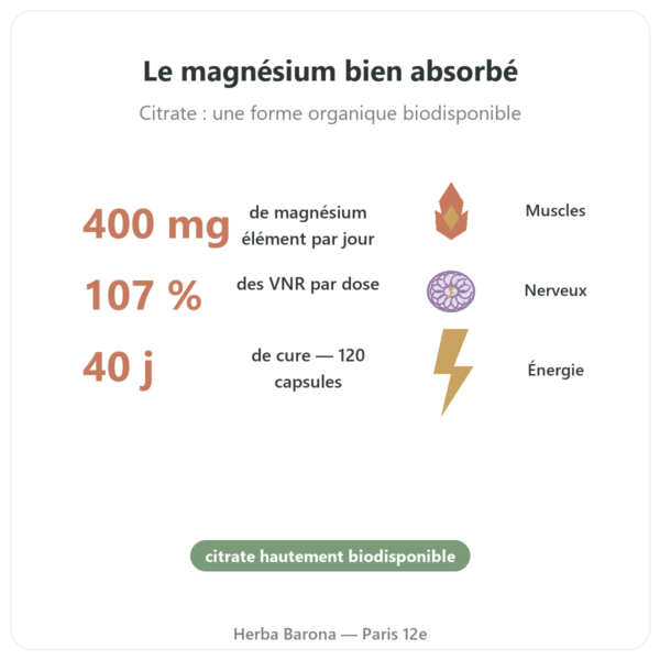 Citrate de Magnésium 400 mg Now Foods 120 capsules bienfaits et chiffres Paris Herba Barona