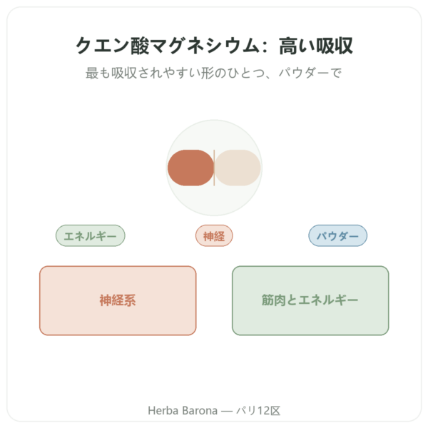 クエン酸マグネシウム パウダー 純度100% – Now Foods – 227 g presentation Paris Herba Barona